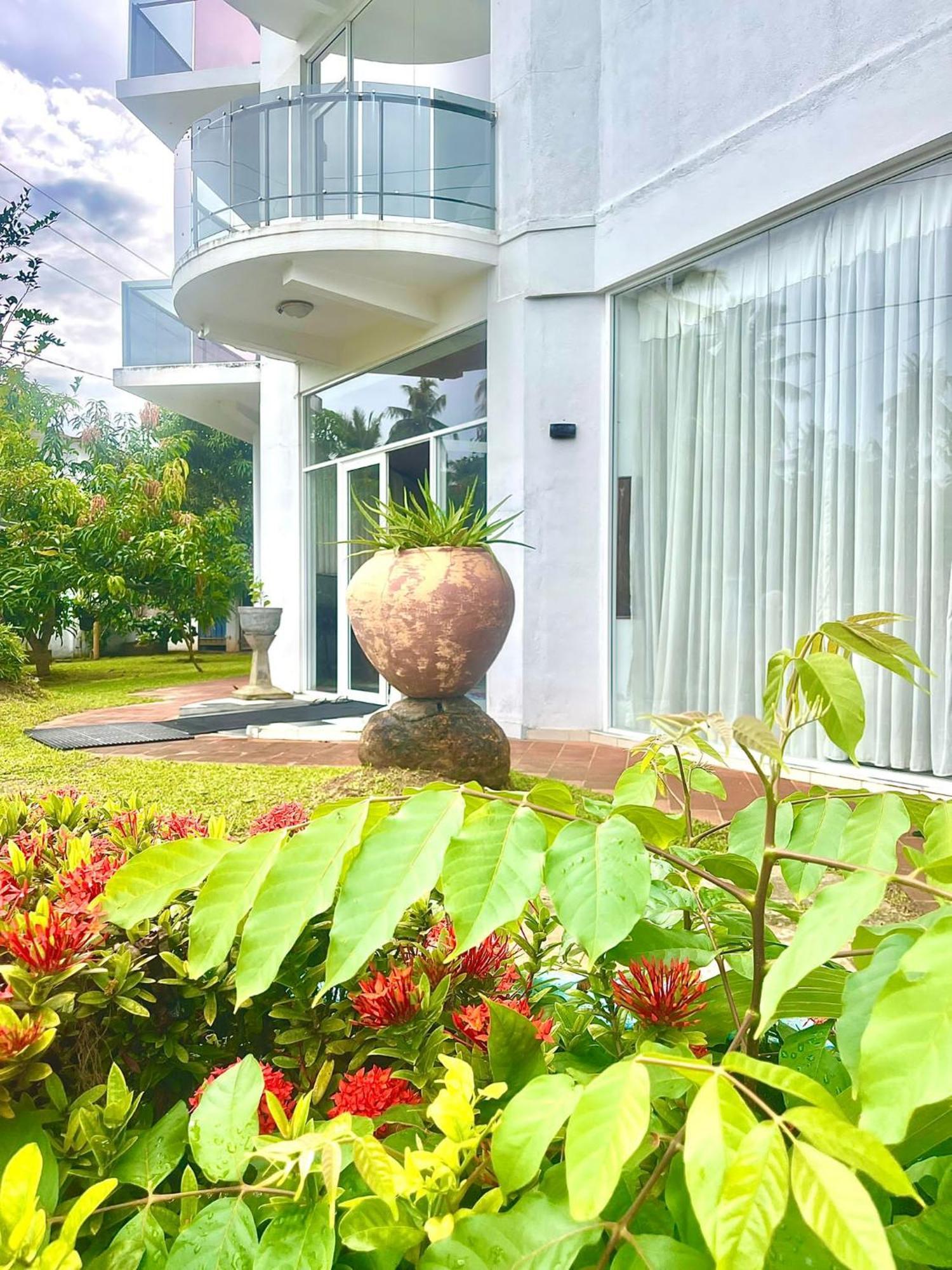 Amaya Beach Hotel Dikwella Zewnętrze zdjęcie